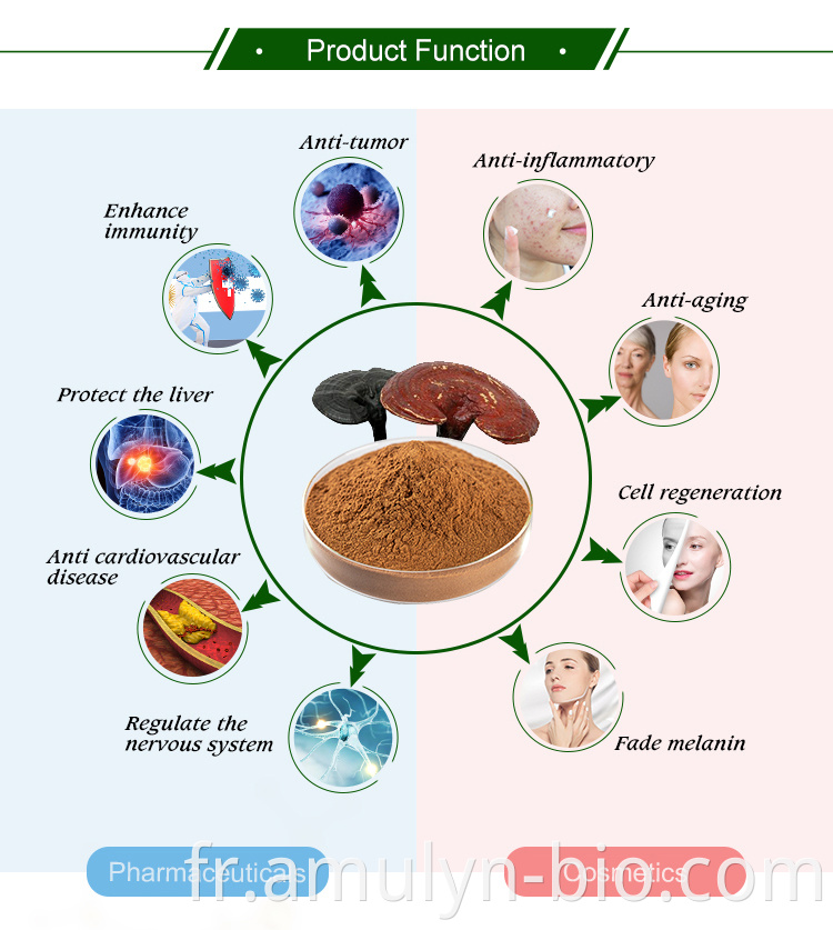 Reishi mushroom extract lingzhi 